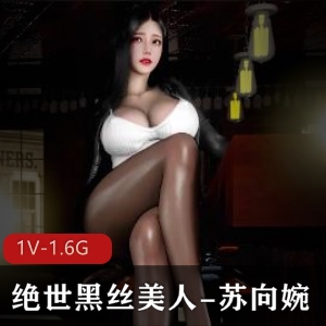 vam-苏向婉-绝世黑丝美人[36分钟-中文字幕]