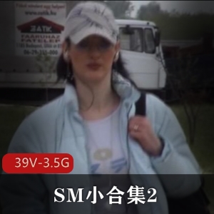 sm合集 自由国 虐心珍贵 小合集2 17v3.8g 以虐为主，温馨提示慎拍！